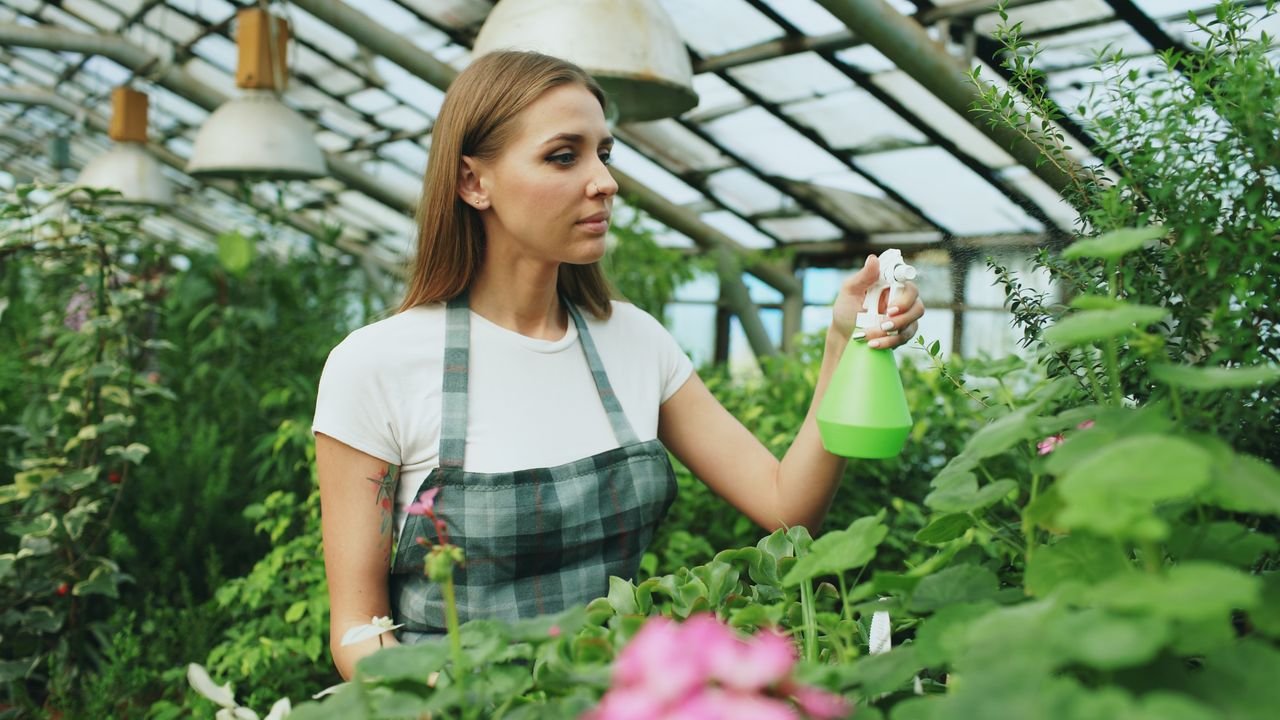 Woman tending to plants in a greenhouse, using a spray bottle for nurturing foliage.